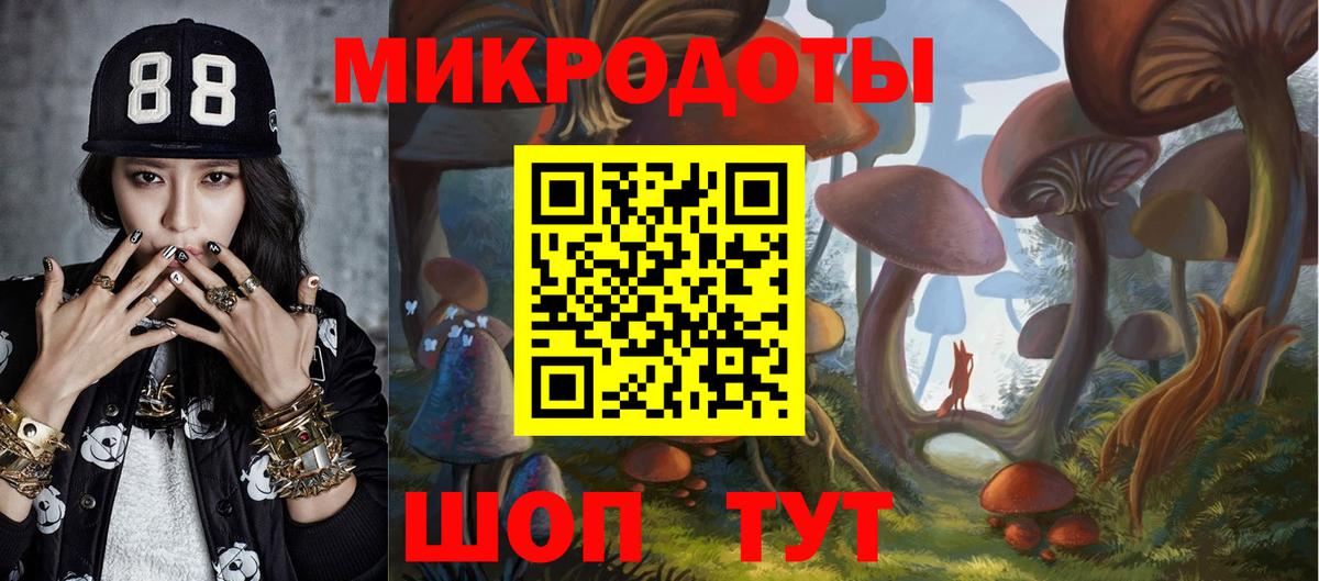 Галлюциногенные грибы Psilocybine cubensis Борисоглебск