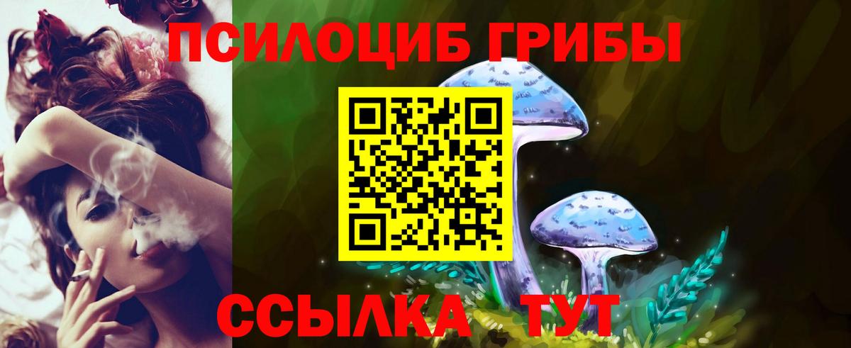 Галлюциногенные грибы Psilocybine cubensis  Вход с VPN  Борисоглебск  Псилоцибиновые грибы прущие грибы 